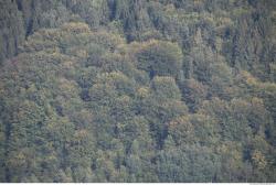 Photo Textures of Mixed Nature